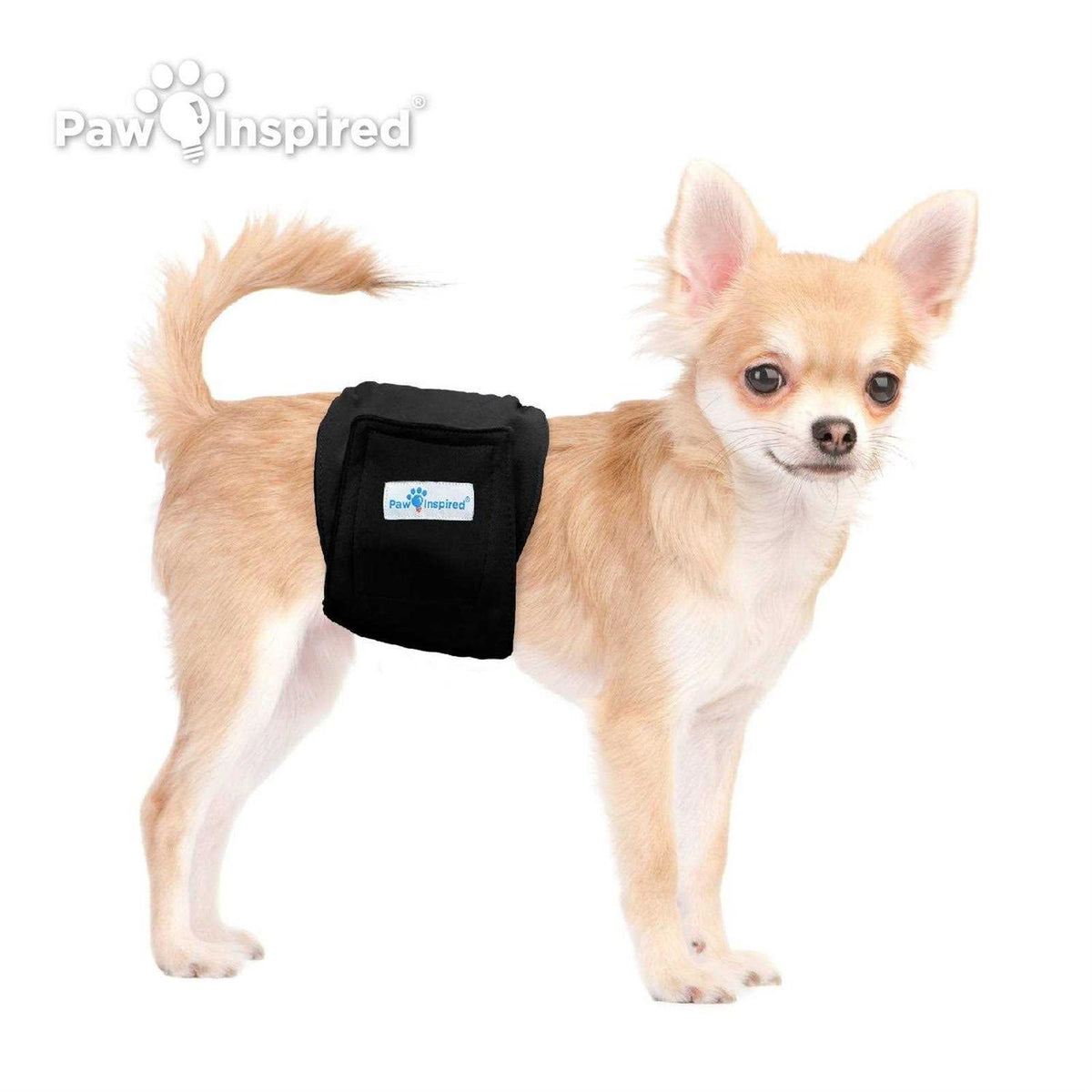 Male Dog Wraps Washable Belly Band E27203