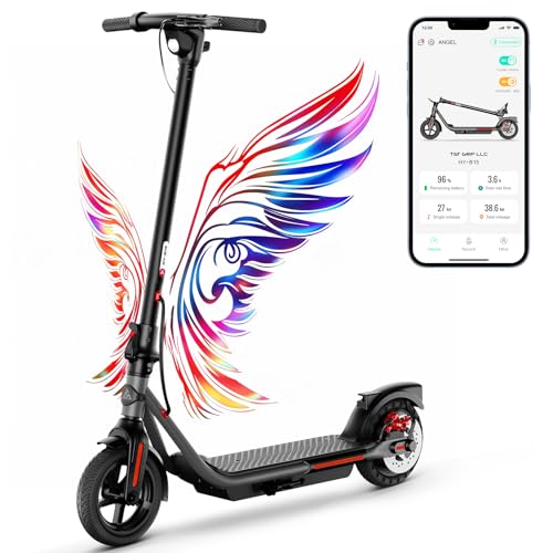 Electric Scooter with Dual Brakes R318