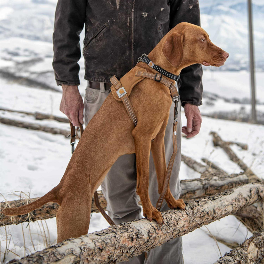 Nylon Duck Dog Harness W61859