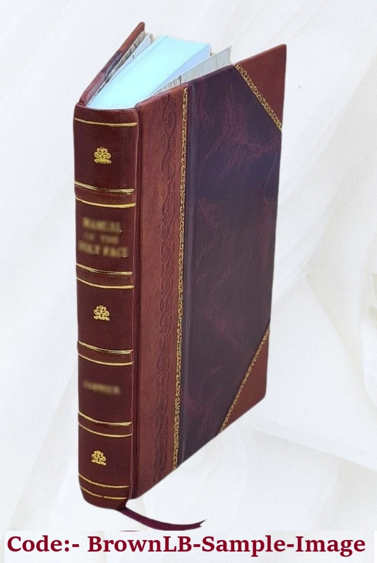 Leather Bound Book Z45118