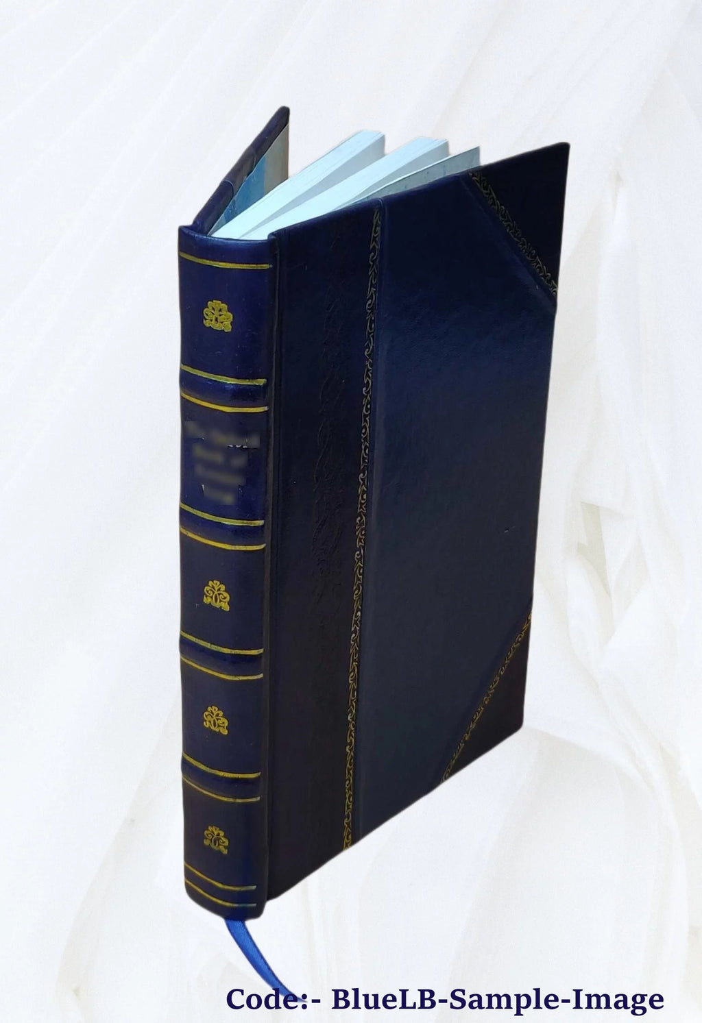 Leather Bound Book E859