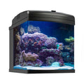 28g LED Aquarium R606