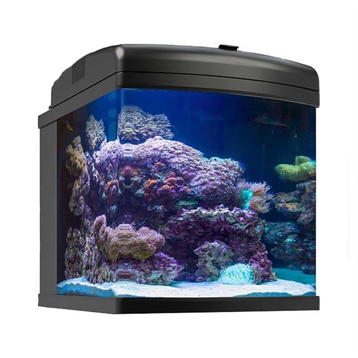 28g LED Aquarium R606