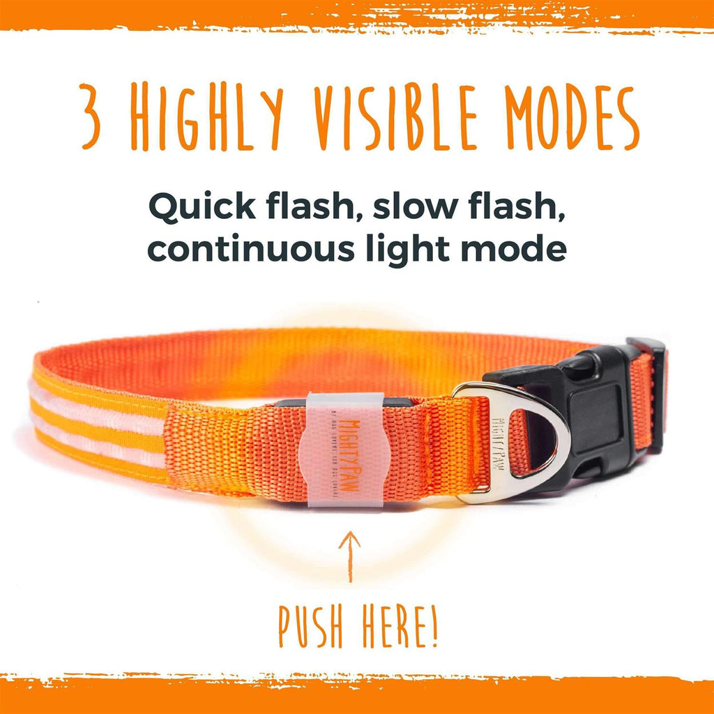 LED Dog Collar USB Rechargeable X208558