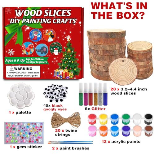 20 Pcs Natural Round Wood Slices Craft Kit Z577
