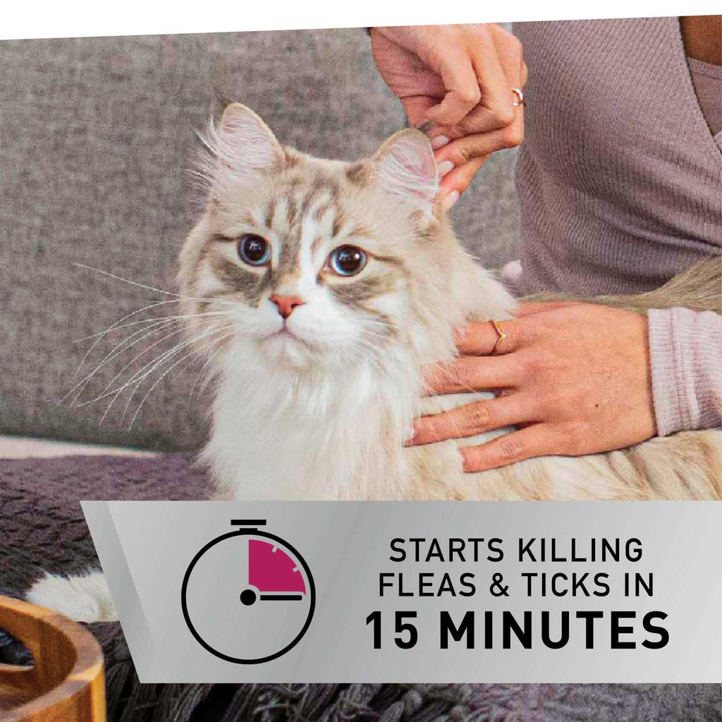 Flea and Tick Topical for Cats Q8075