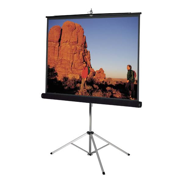 Black Carpeted Matte White Projector Screen F46329
