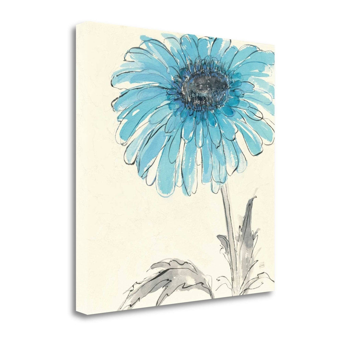 Gerbera Blue II Fine Art Giclee Print C6165