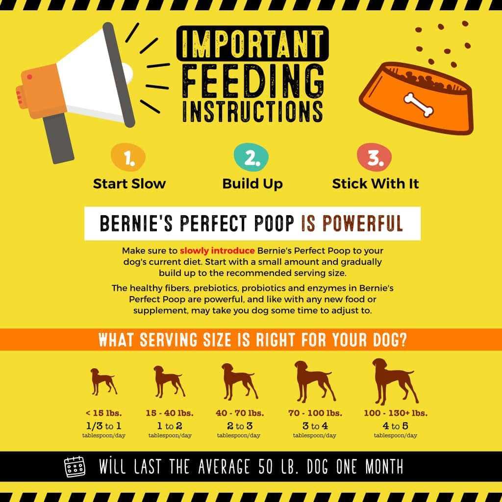 Pet Supplement P97581