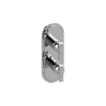 Polished Chrome Two Hole Vertical Trim Plate with Lever Handles N813
