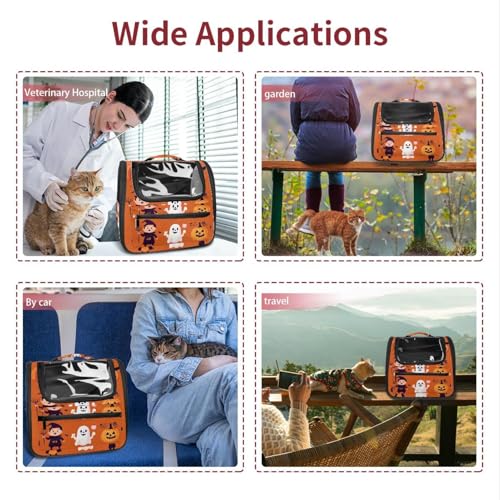 Soft Sided Portable Pet Travel Carrier N23998