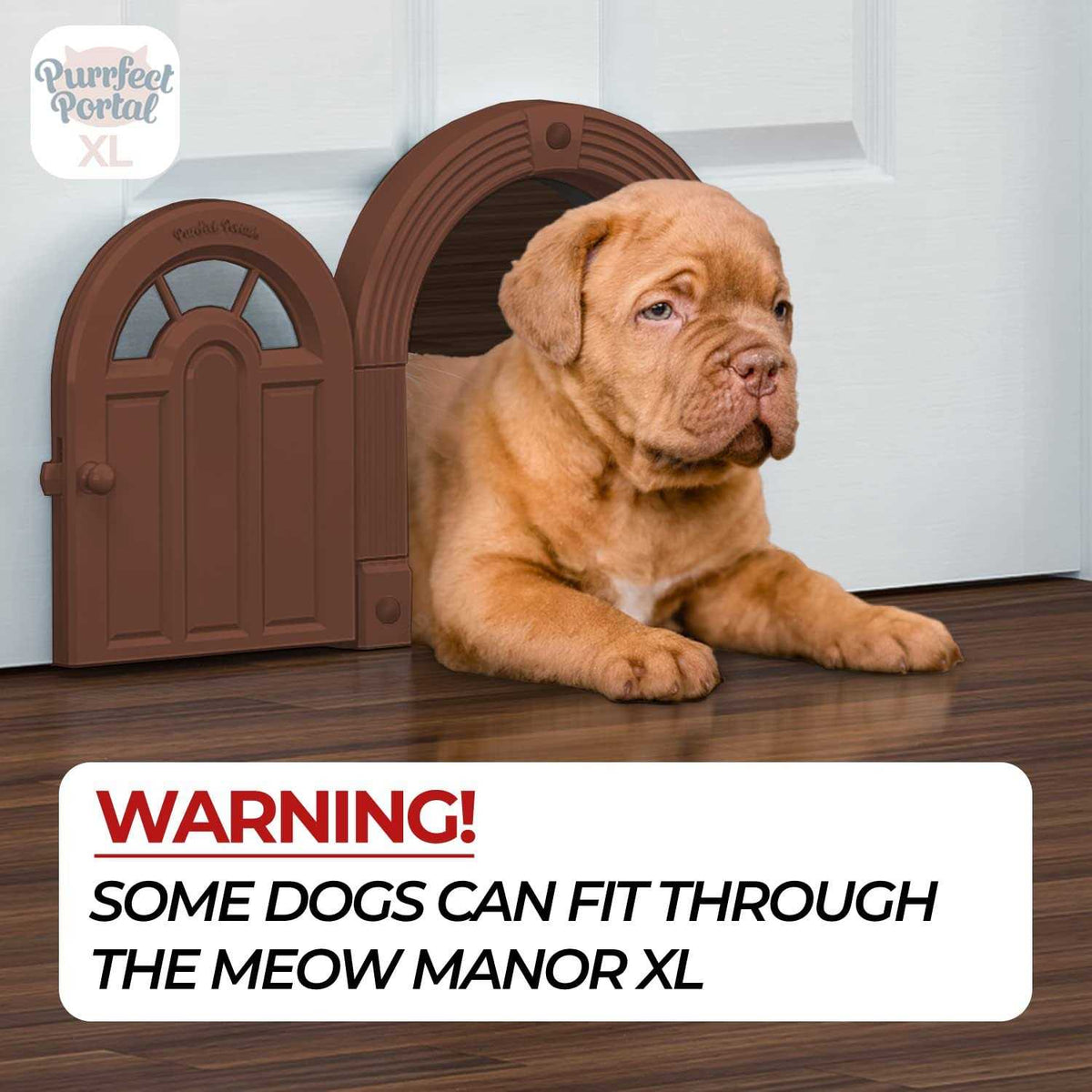 Extra Large No-Flap Cat Door X169
