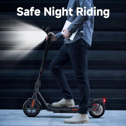 Electric Scooter with Dual Brakes R318