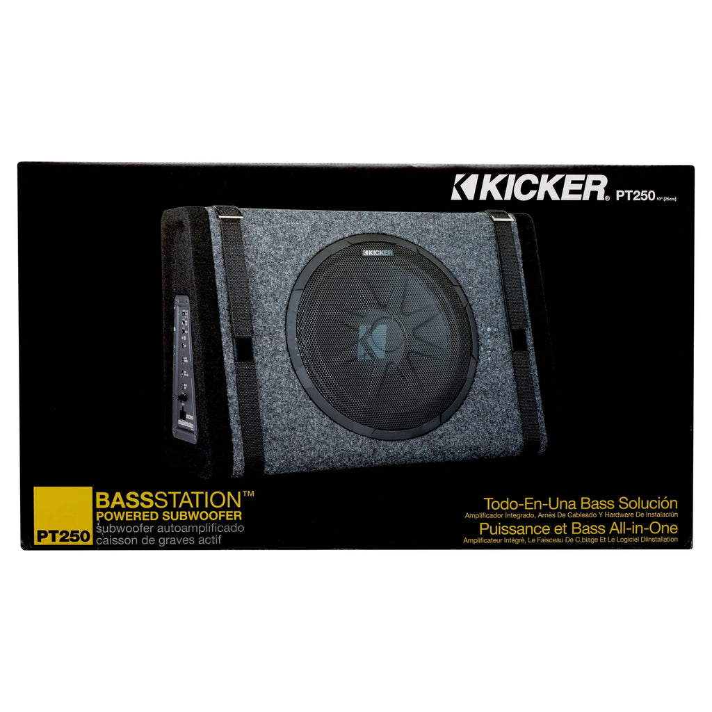 10 Subwoofer with Built-in Amplifier Q2822