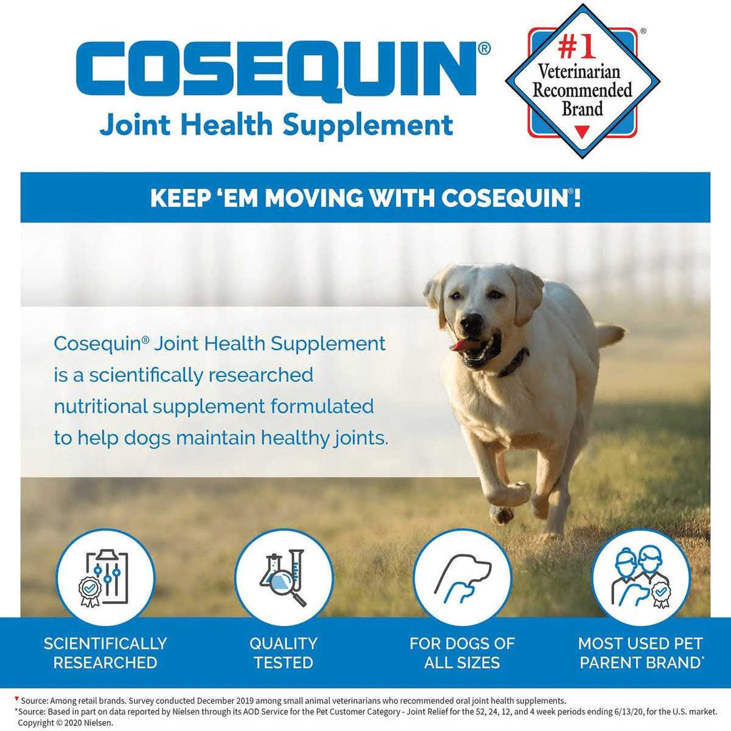 Joint Health Supplement for Senior Dogs O625113