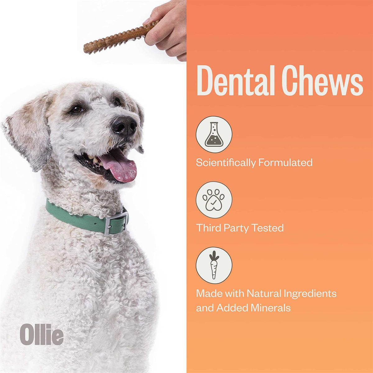 Dental Chews For Dogs W888