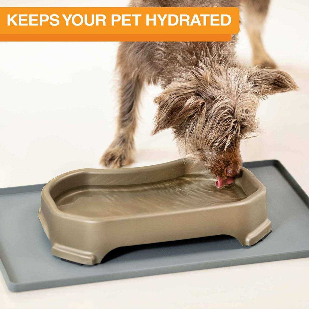 Jumbo Trough Style Dog Water Bowl L691809