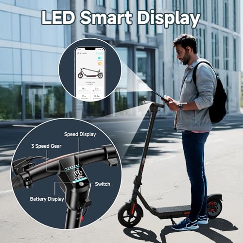 Electric Scooter with Dual Brakes R318