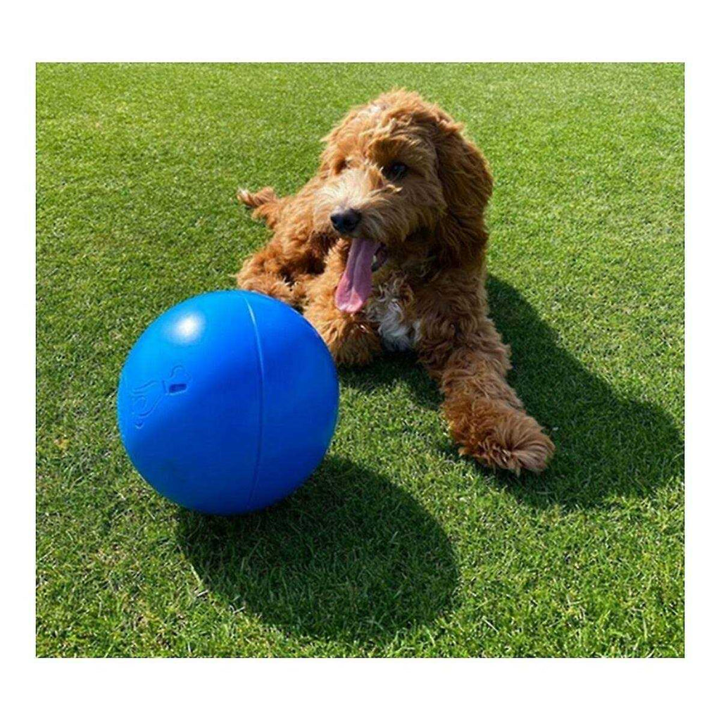 Pet Supplies Z649