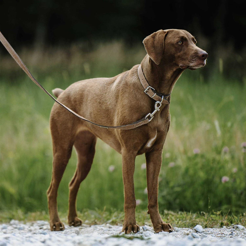 Super Soft Distressed Leather Dog Leash O885252