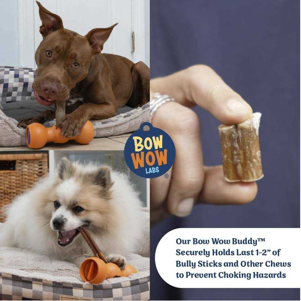 Bully Stick Holder for Dogs Starter Kit I32130