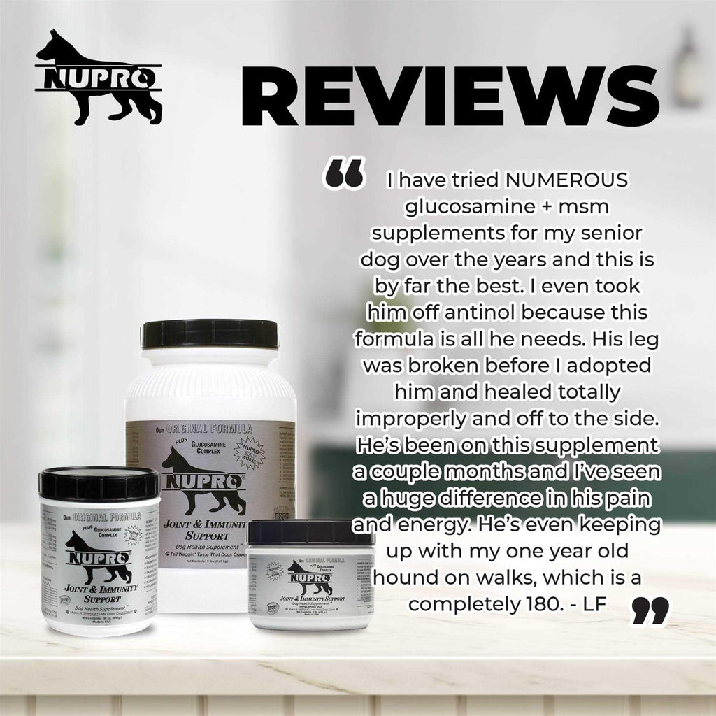 Joint & Immunity Support Dog Supplement K8291