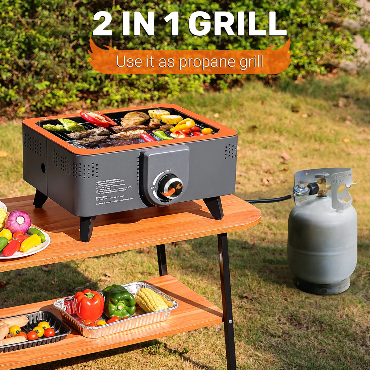 Portable Propane Grill with Gas Regulator & Adaptor V23658