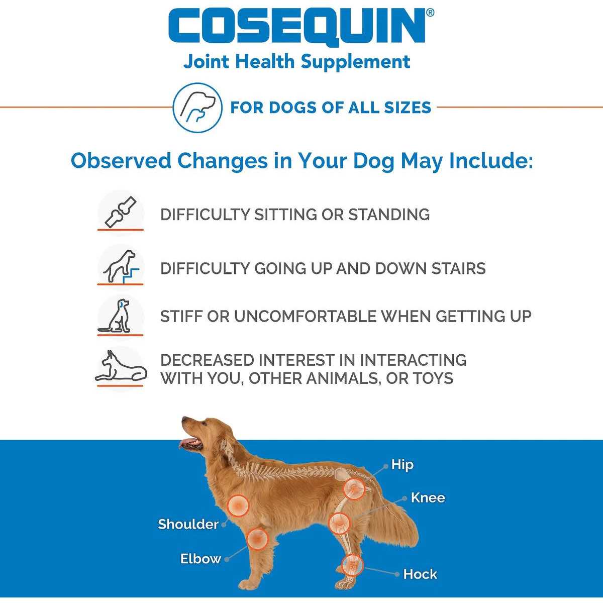 Joint Health Supplement for Senior Dogs O625113
