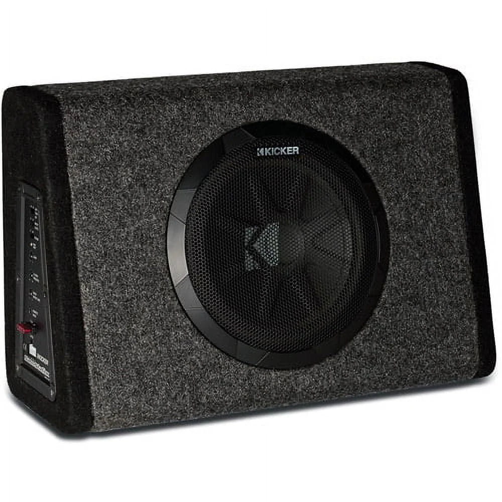 10 Subwoofer with Built-in Amplifier Q2822