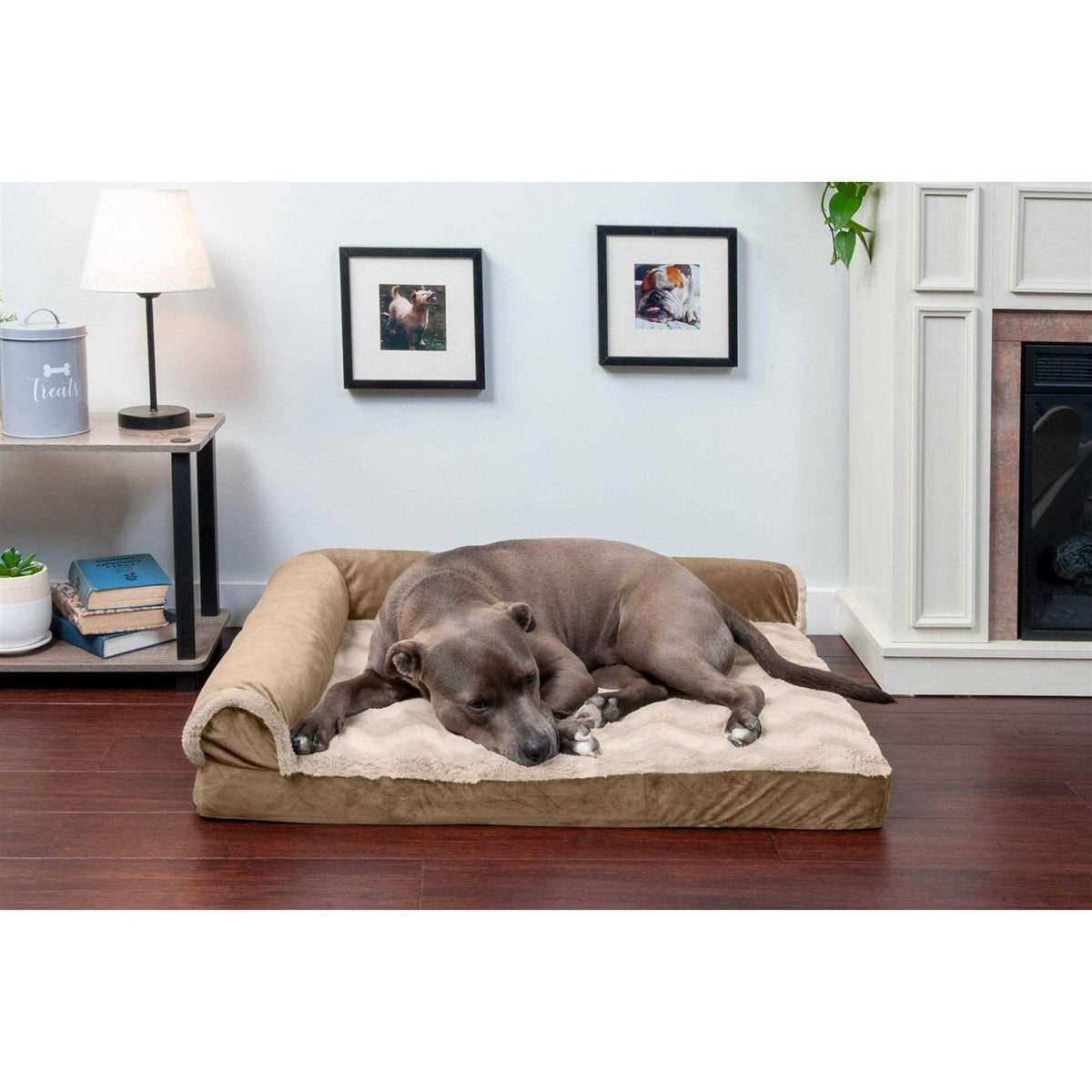 Velvet Chaise Lounge Dog Bed P839186