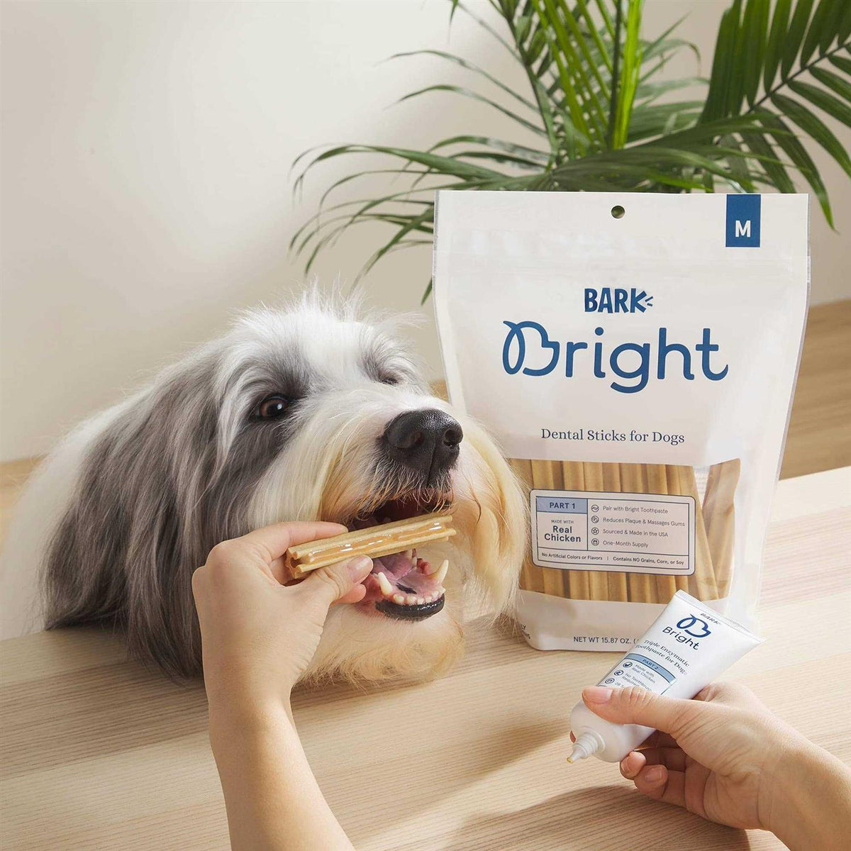 Dental Sticks for Large Dogs Chews C4733