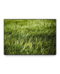 Oversized Framed Canvas E5479