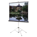 Black Carpeted Matte White Projector Screen F46329