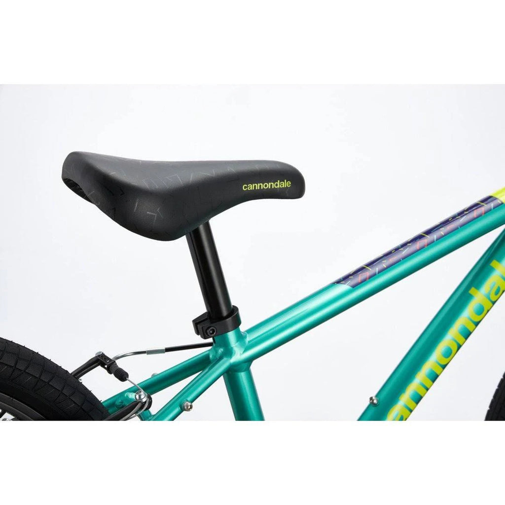 20 inch Turquoise Kids Bike A617
