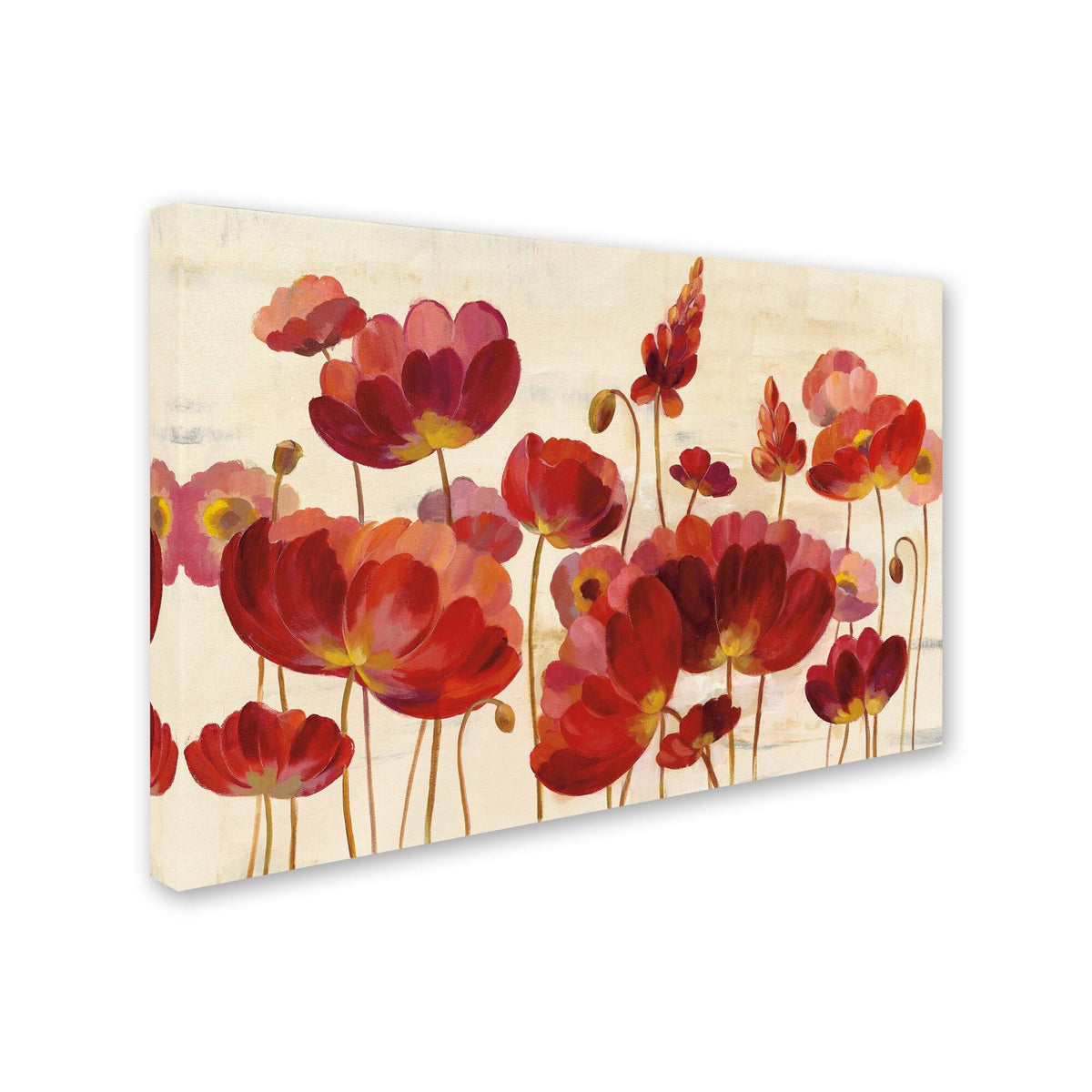 Canvas Art V98823