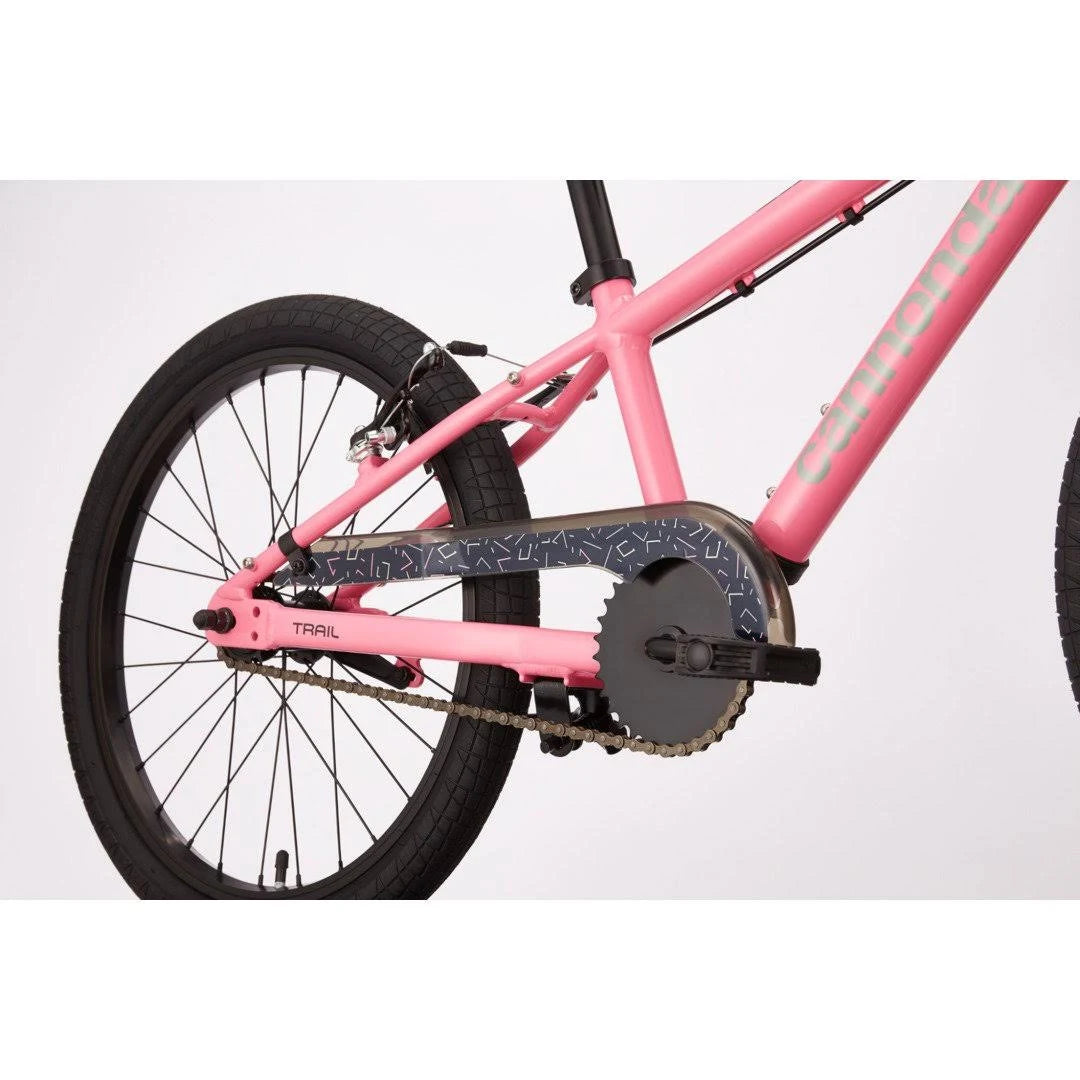 20 inch Turquoise Kids Bike A617