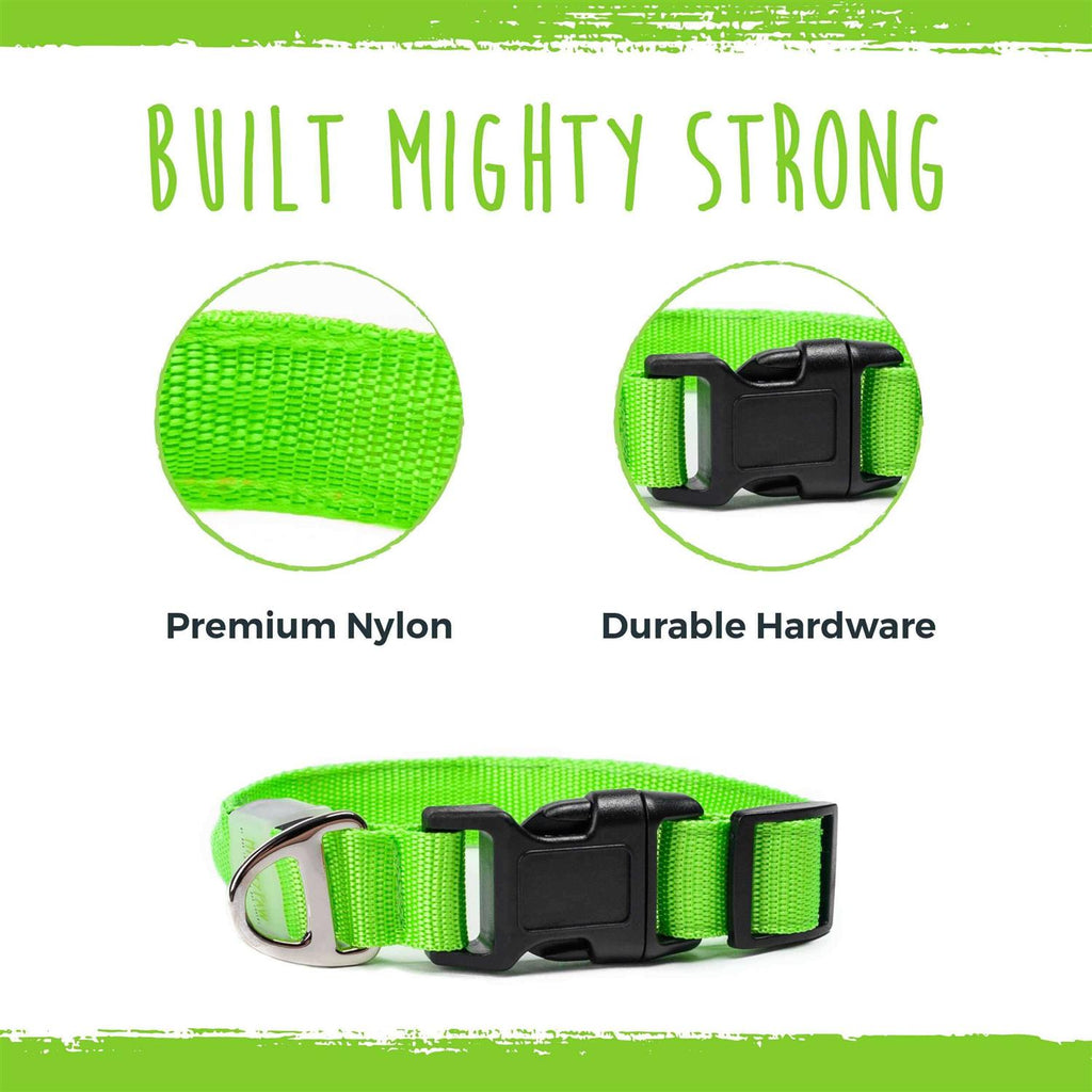 LED Dog Collar USB Rechargeable X208558