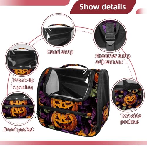 Soft Sided Portable Pet Travel Carrier N23998