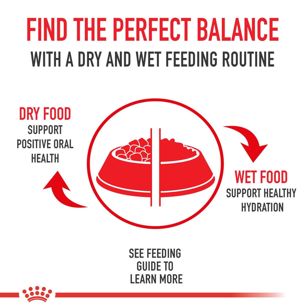 Bulldog Adult Dry Dog Food U3923