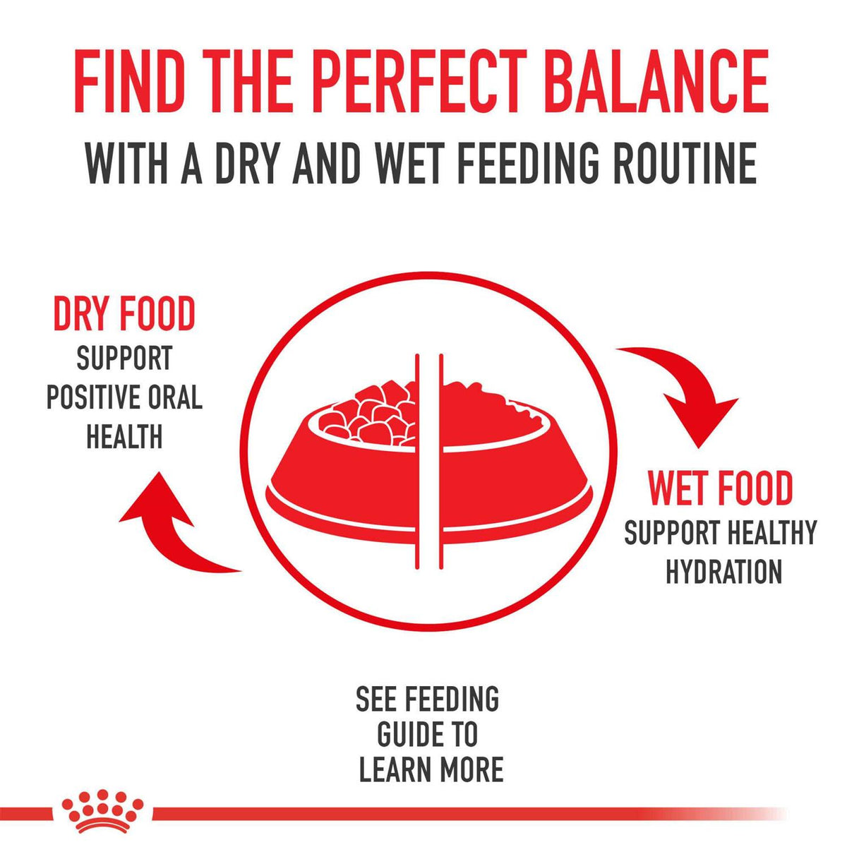 Bulldog Adult Dry Dog Food U3923