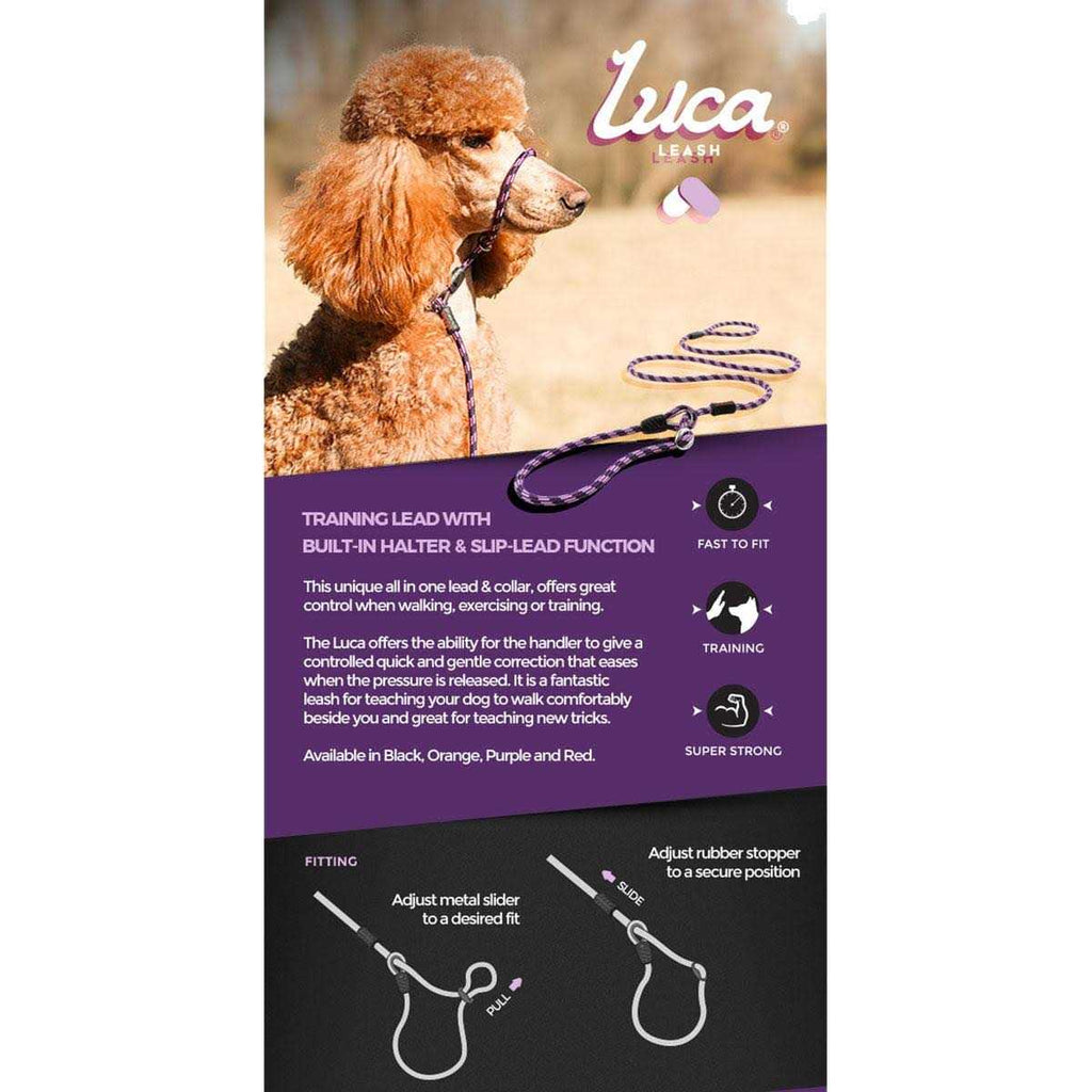 Slip Collar Dog Leash H861