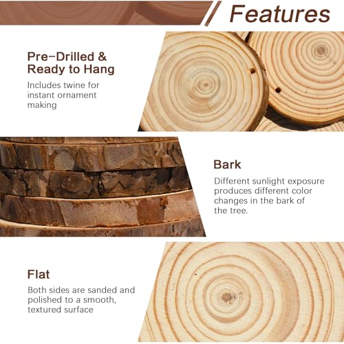 20 Pcs Natural Round Wood Slices Craft Kit Z577