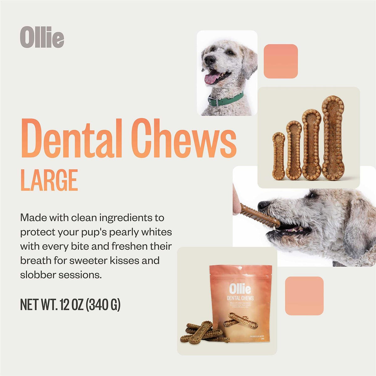 Dental Chews For Dogs W888