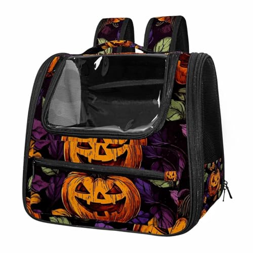 Soft Sided Portable Pet Travel Carrier N23998