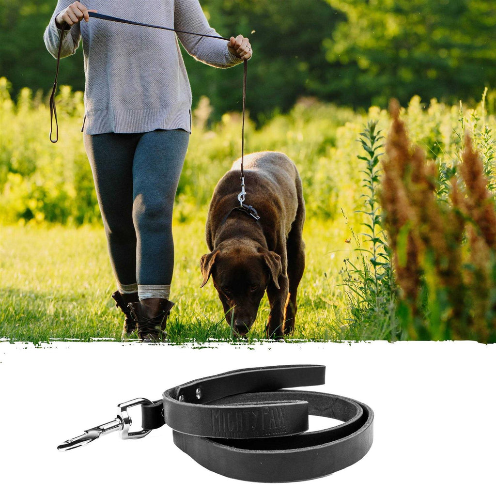 Super Soft Distressed Leather Dog Leash O885252