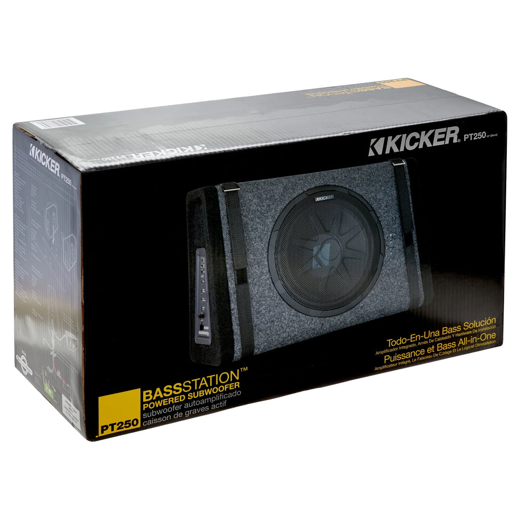 10 Subwoofer with Built-in Amplifier Q2822
