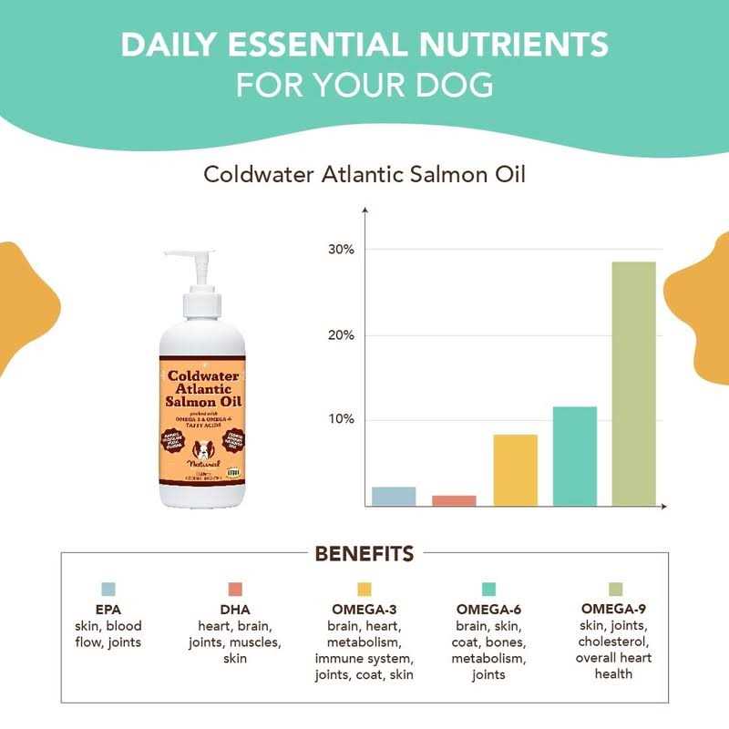 Salmon Oil for Dogs Omega 3 Supplement P279183