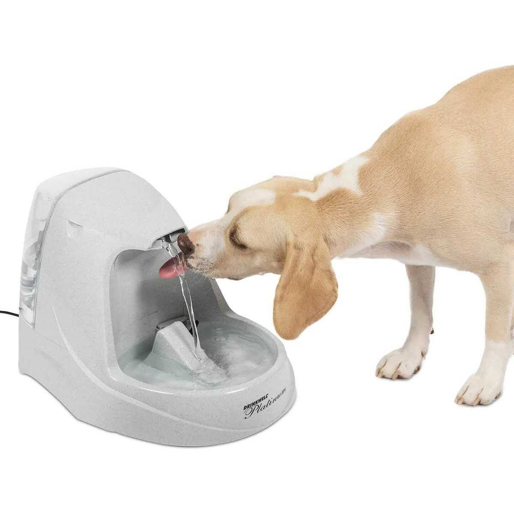Platinum Pet Fountain R11523