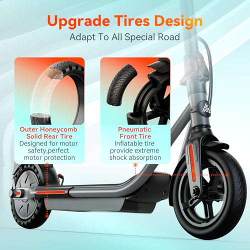 Electric Scooter with Dual Brakes R318