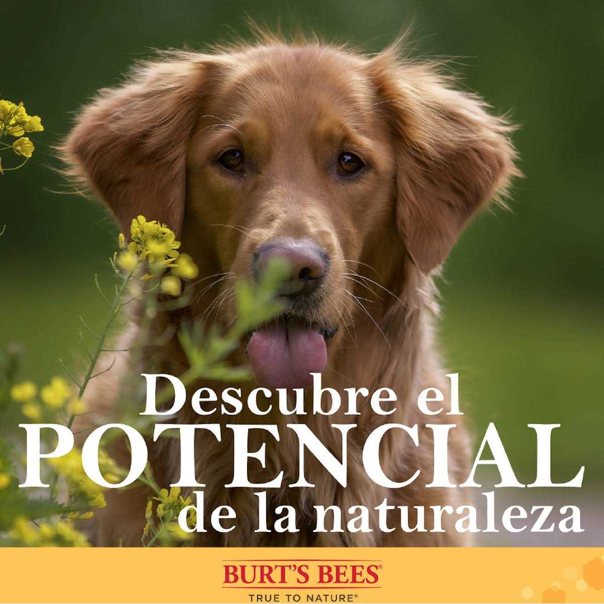 Manuka Honey Nose & Paw Lotion Z14887